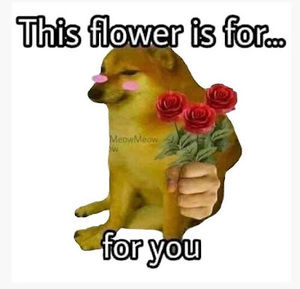 Meet your Posher, Jorge